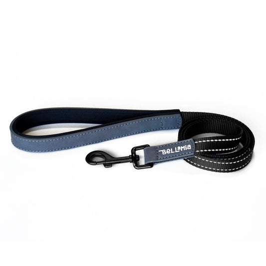 Reflective Leash