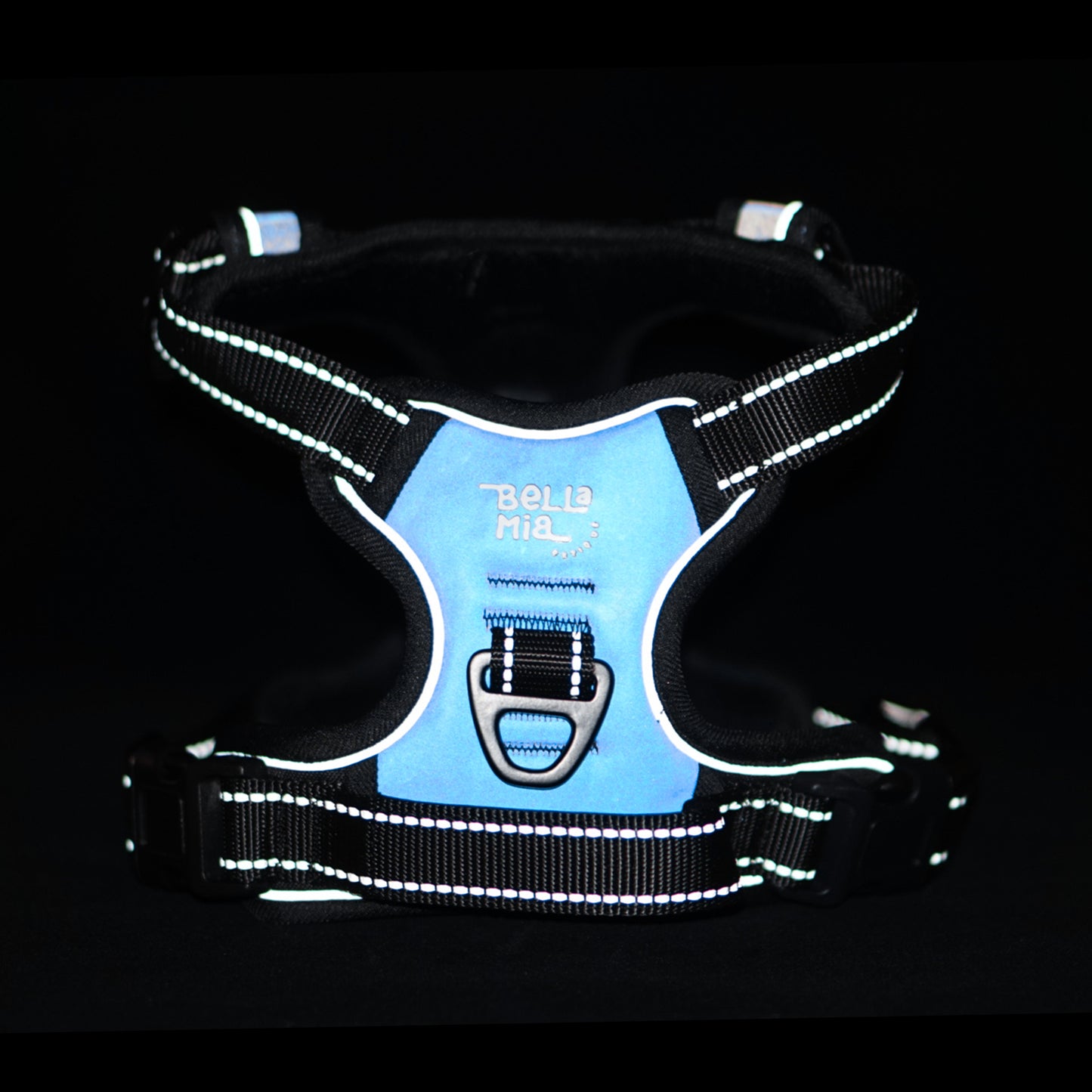 Reflective Harness