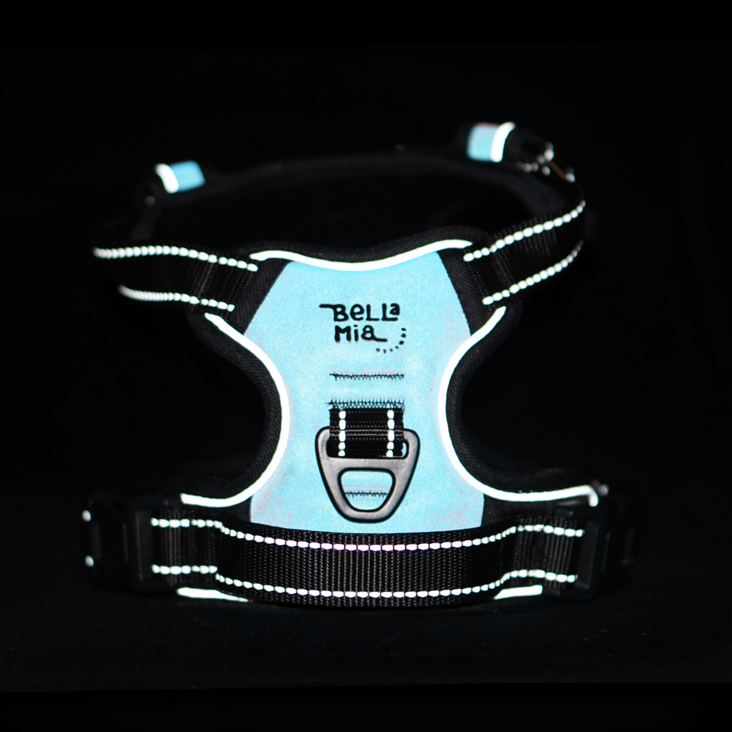 Reflective Harness